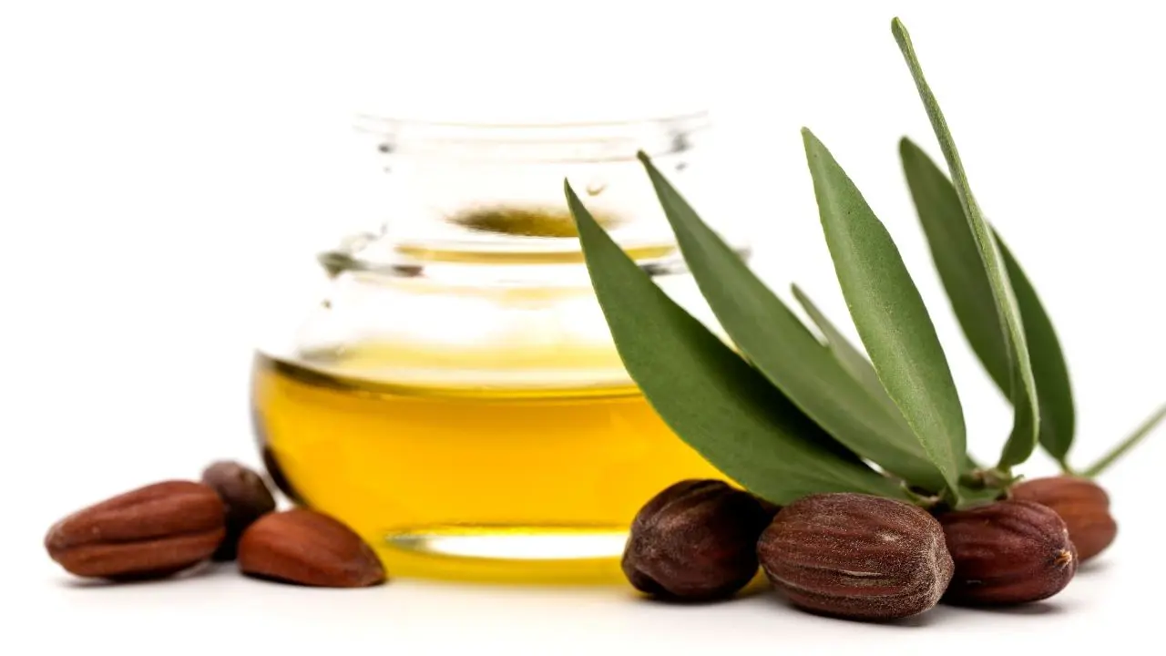 jojoba9.webp