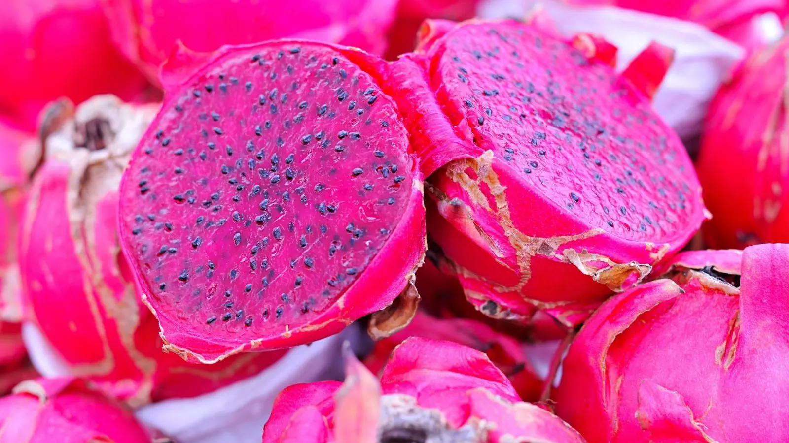 pitaya1.webp