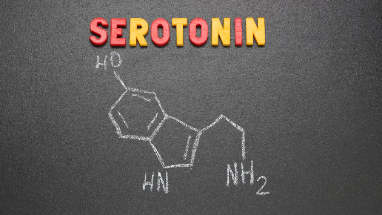 serotonin.webp